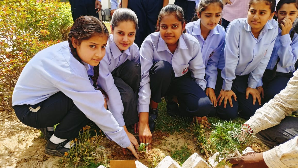 top international schools in bangalore